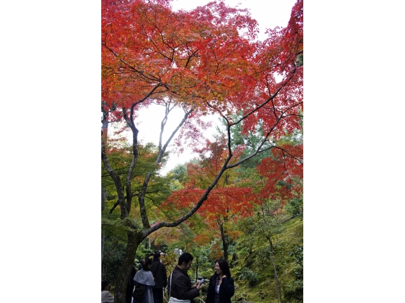 下載 (4)